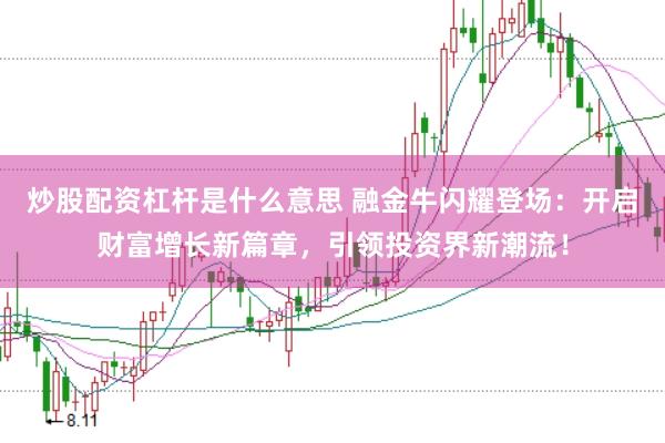 炒股配资杠杆是什么意思 融金牛闪耀登场：开启财富增长新篇章，引领投资界新潮流！