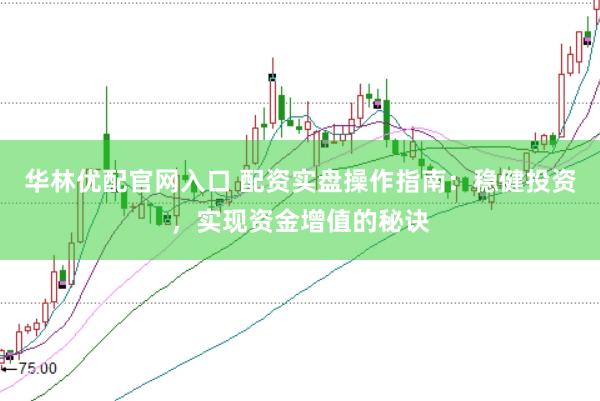 华林优配官网入口 配资实盘操作指南：稳健投资，实现资金增值的秘诀