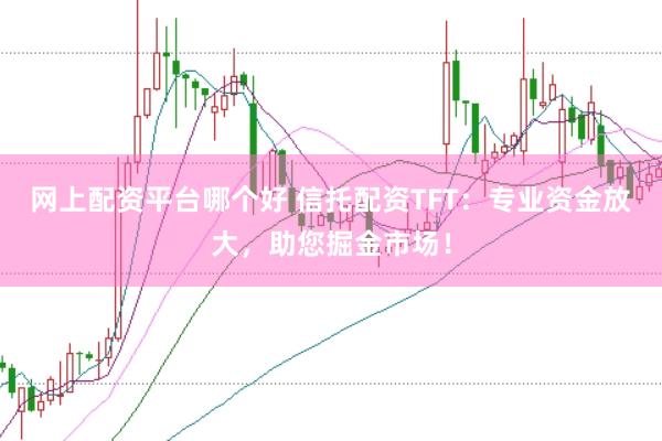 网上配资平台哪个好 信托配资TFT：专业资金放大，助您掘金市场！