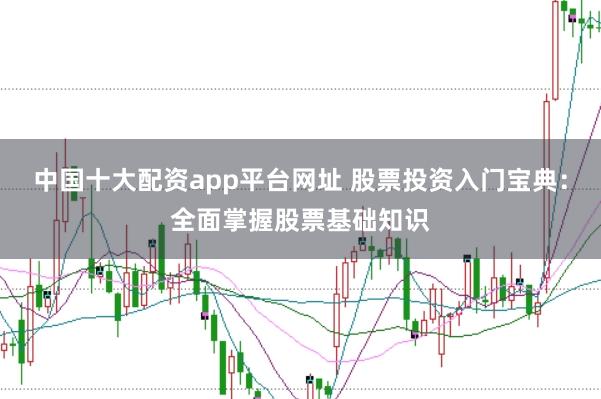 中国十大配资app平台网址 股票投资入门宝典：全面掌握股票基础知识