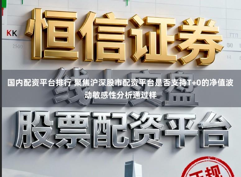 国内配资平台排行 聚焦沪深股市配资平台是否支持T+0的净值波动敏感性分析通过样