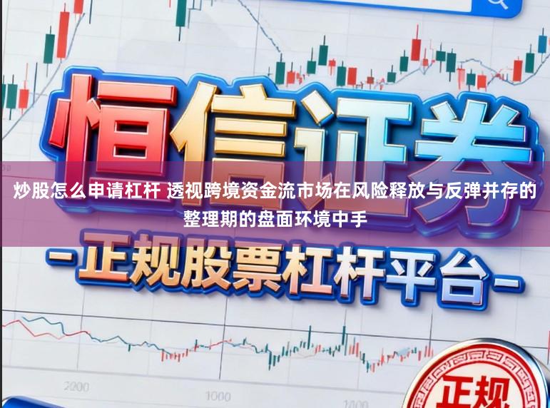 炒股怎么申请杠杆 透视跨境资金流市场在风险释放与反弹并存的整理期的盘面环境中手