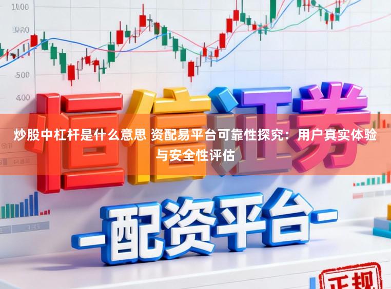 炒股中杠杆是什么意思 资配易平台可靠性探究：用户真实体验与安全性评估